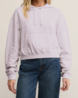 Z SUPPLY COASTAL VIEW HOODIE