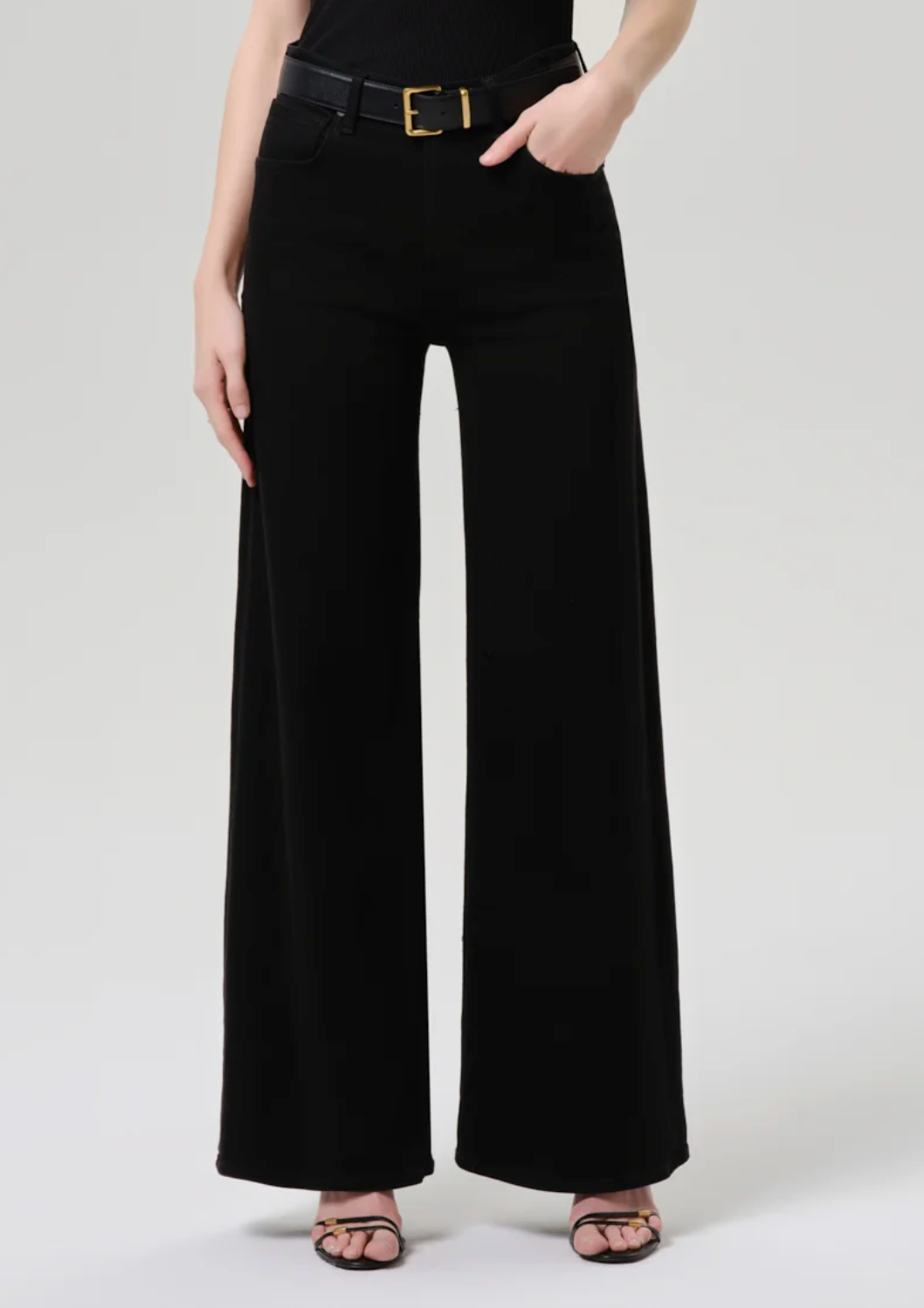 CITIZENS OF HUMANITY LYRA LONG WIDE LEG