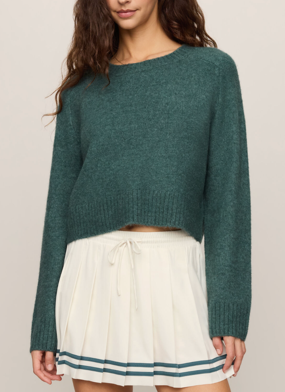 Z SUPPLY STAND IN SWEATER