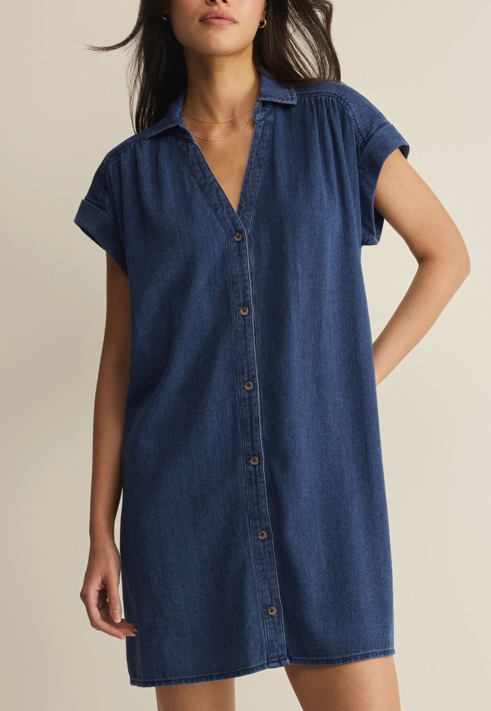 Z SUPPLY SHELLBOUND TWILL DRESS