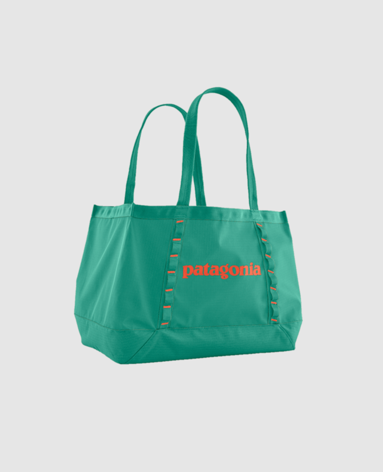 PATAGONIA BLACK HOLE TOTE 25L