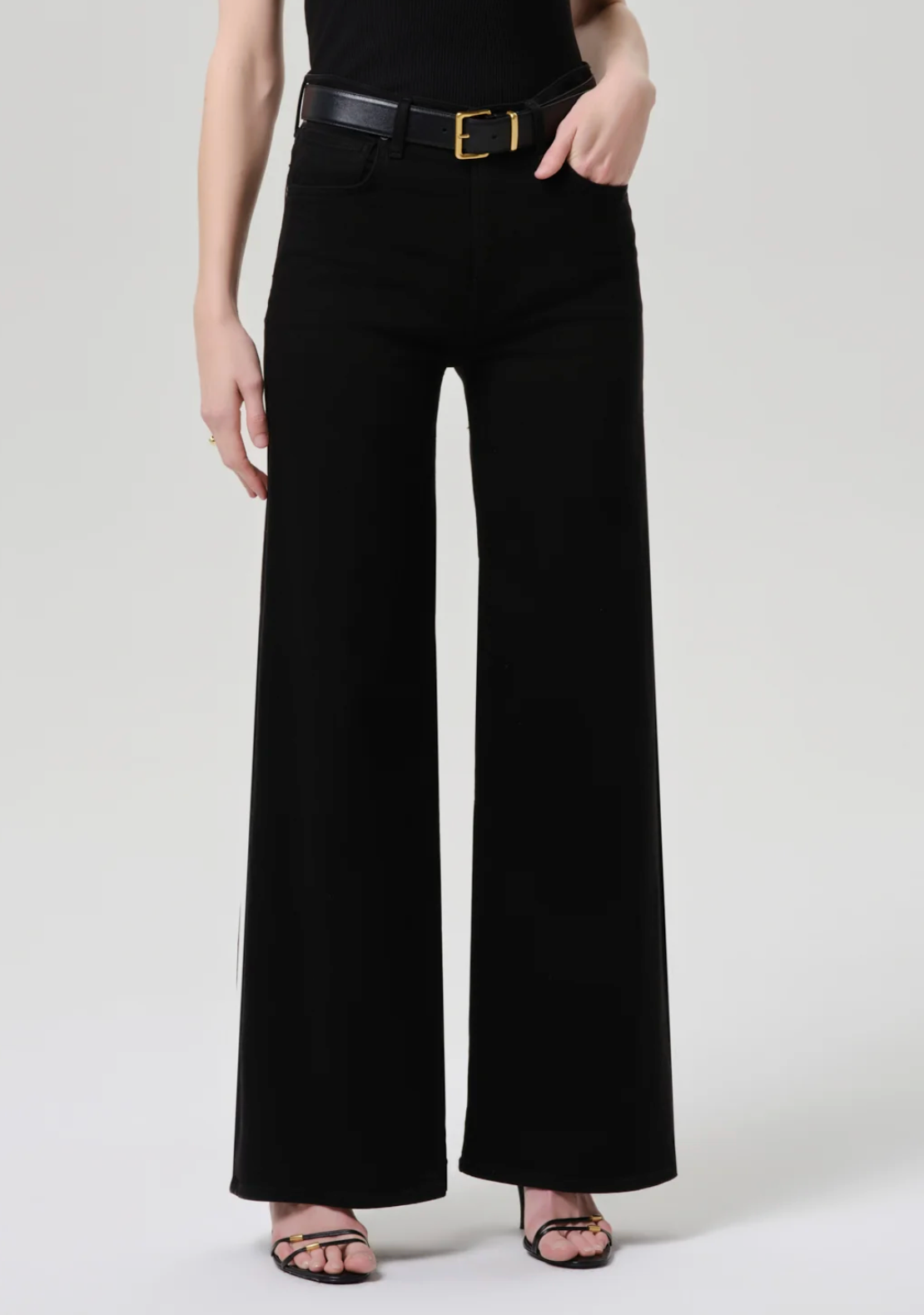 CITIZENS OF HUMANITY LYRA LONG WIDE LEG