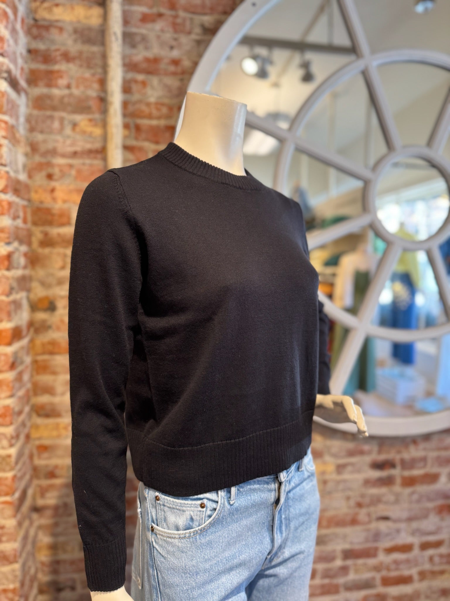 ALASHAN COTTON CASHMERE STACY SHRUNKEN CREW NECK